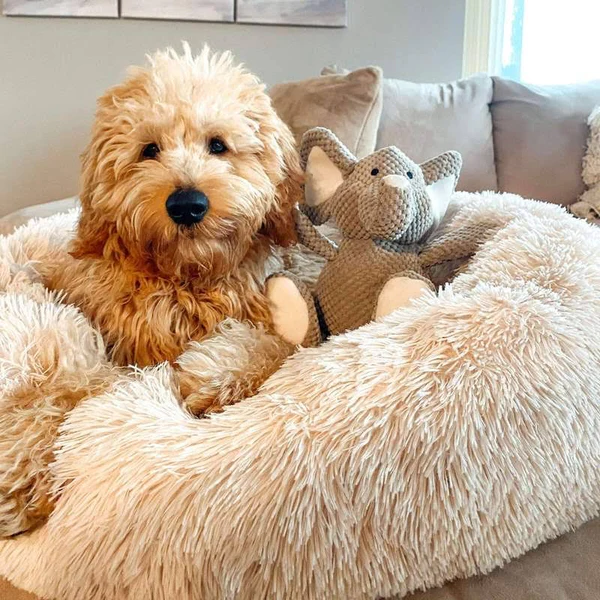 Calming Dog Bed - product image 3