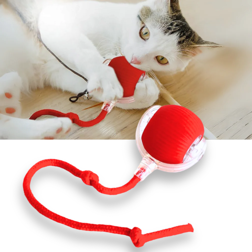 Smart Interactive Cats Ball Toy - product image 10