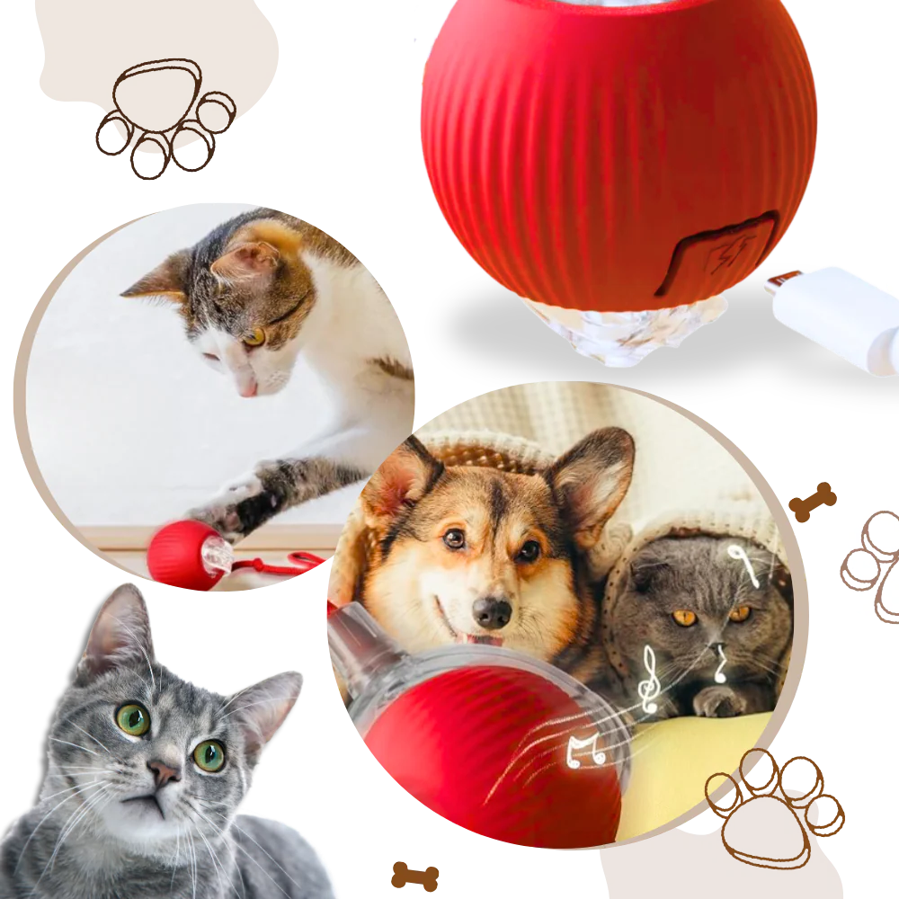 Smart Interactive Cats Ball Toy - product image 5
