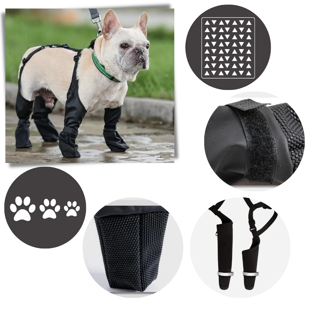 Waterproof Dog Suspenders Boots - product image 5
