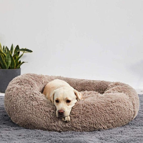 Calming Dog Bed - product image 4