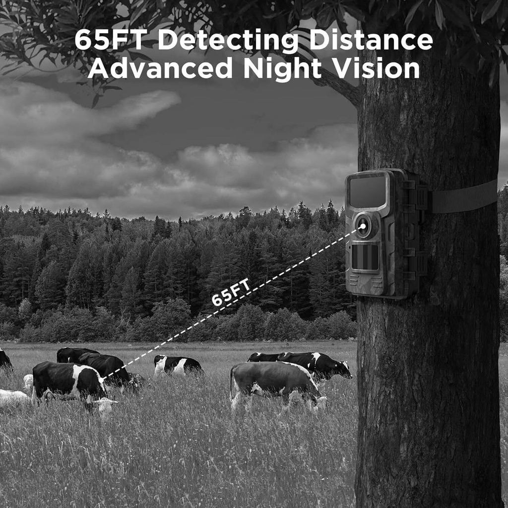 Night Vision Outdoor Wildlife Animal Camera - product detail 2