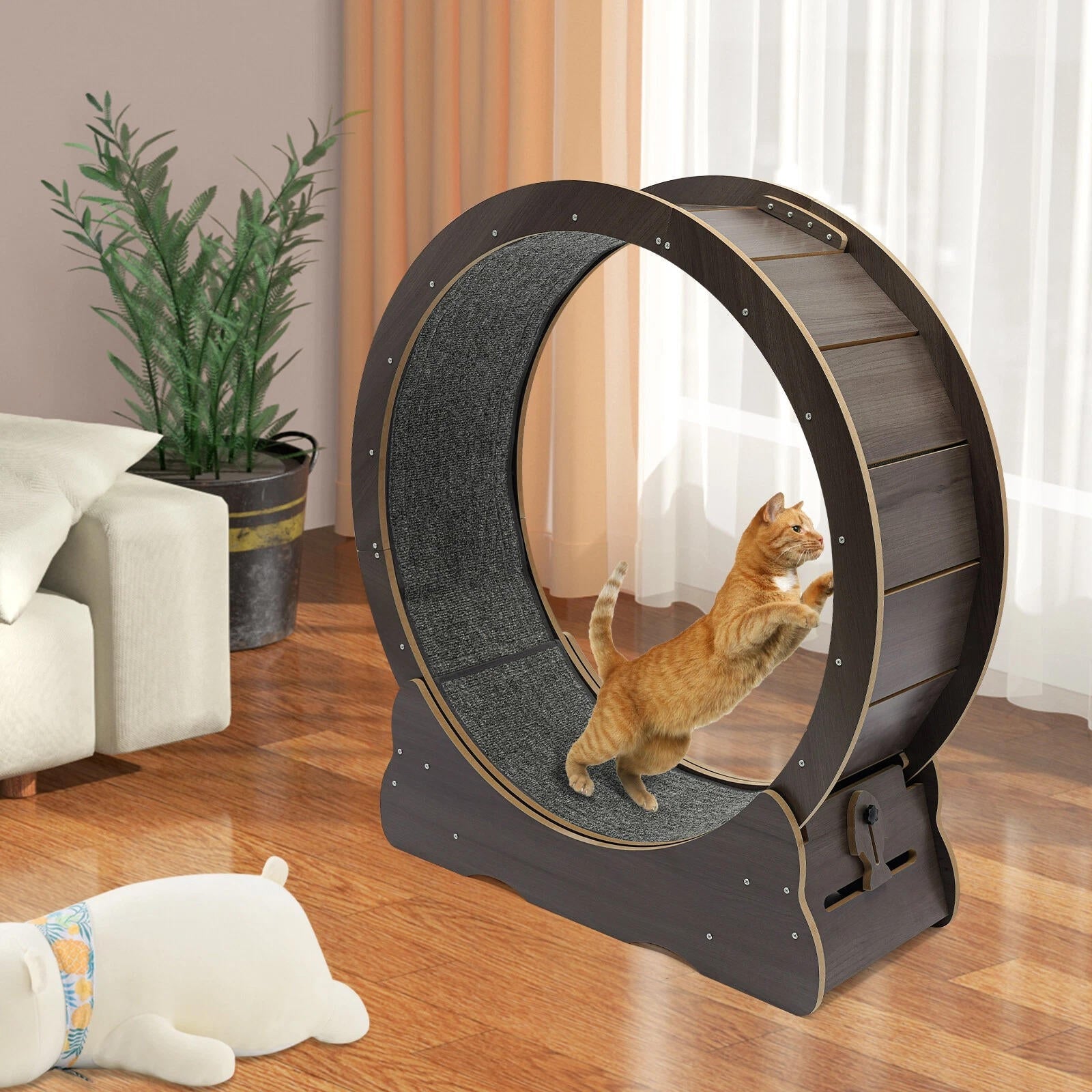 NOMOVA Cat Exercise Wheel
