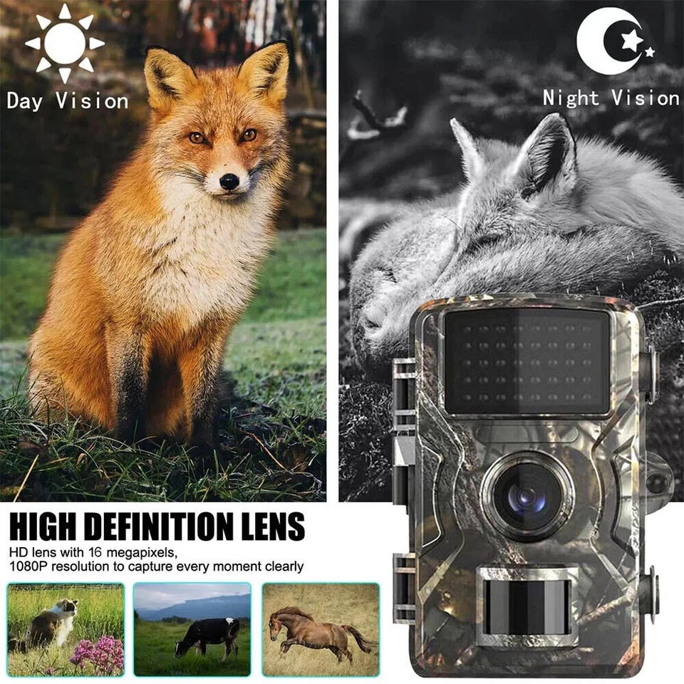 Night Vision Outdoor Wildlife Animal Camera - product detail 3