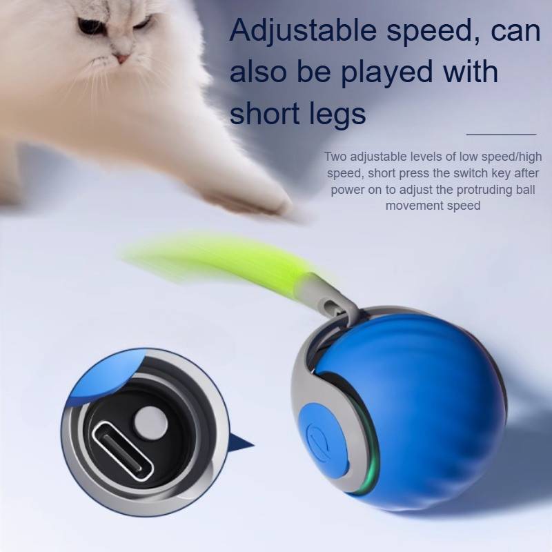 Interactive Cat Toys For Indoor Cats - product image 2