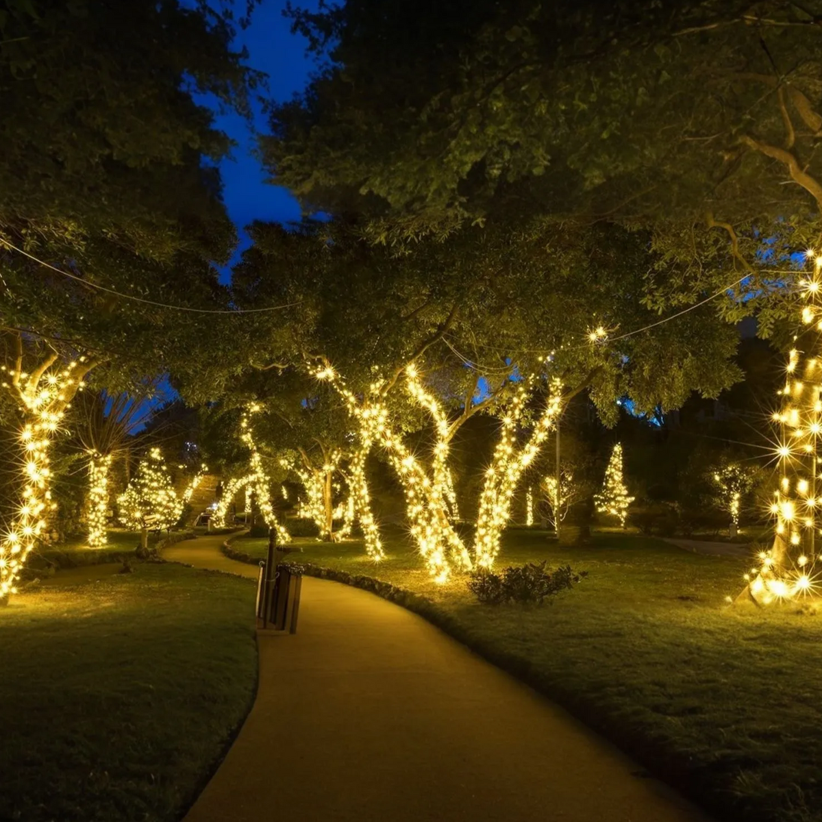 Luces solares de hadas para exteriores, LED impermeables para jardín y eventos