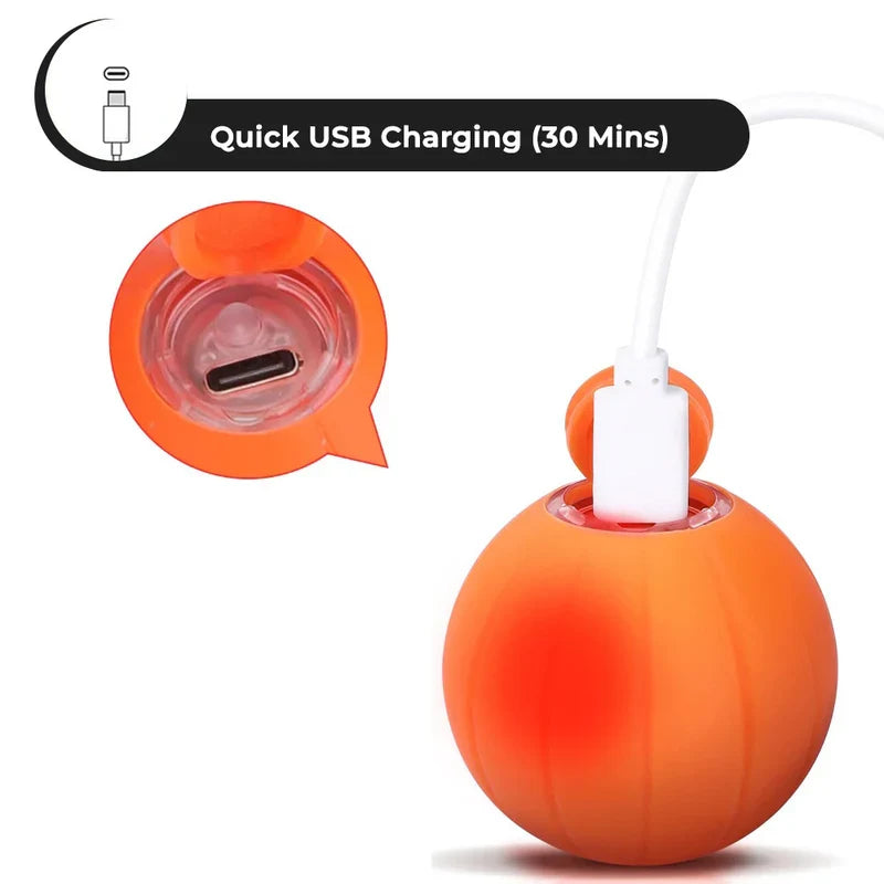 Pet Ball (Special Edition) - product image 5