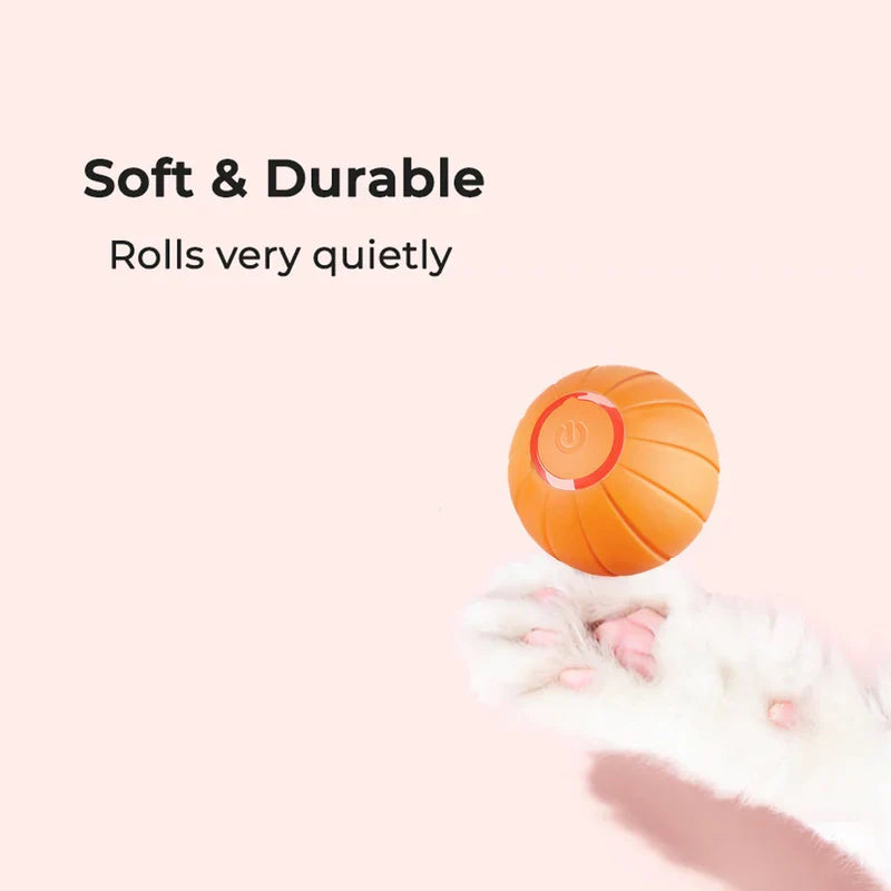 Pet Ball (Special Edition) - product image 4