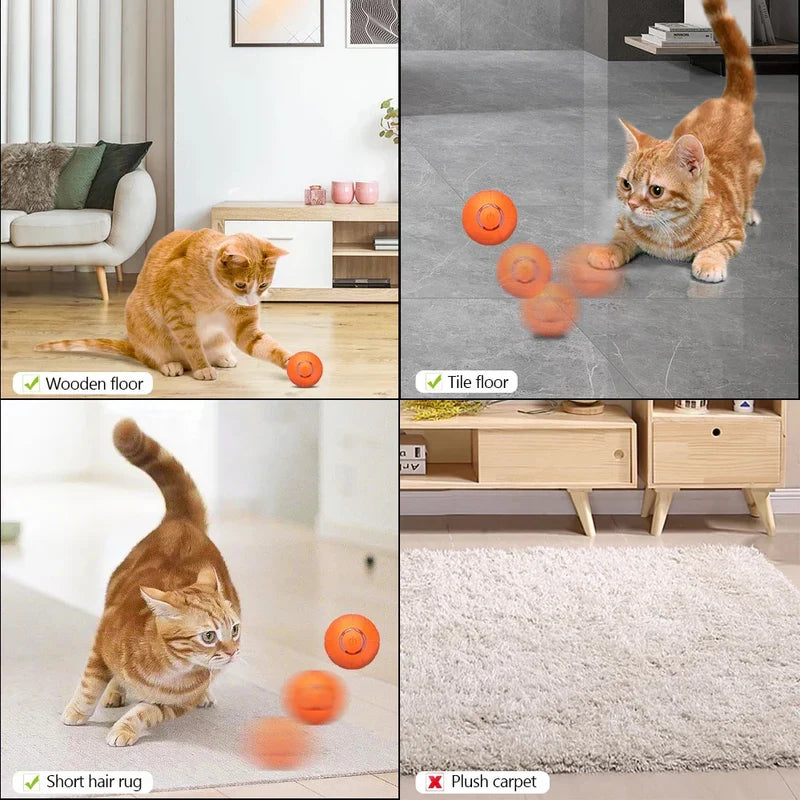 Pet Ball (Special Edition) - product image 3